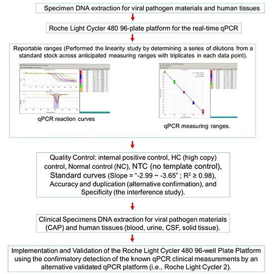 Cytomegalovirus (CMV) DNA Quantitative Real-Time PCR